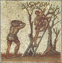 Trabajo agrícola esclavo: la recogida de la aceituna. Mosaico romano.