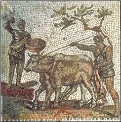 Trabajo agrícola esclavo: la siembra y el arado con bueyes. Mosaico romano.